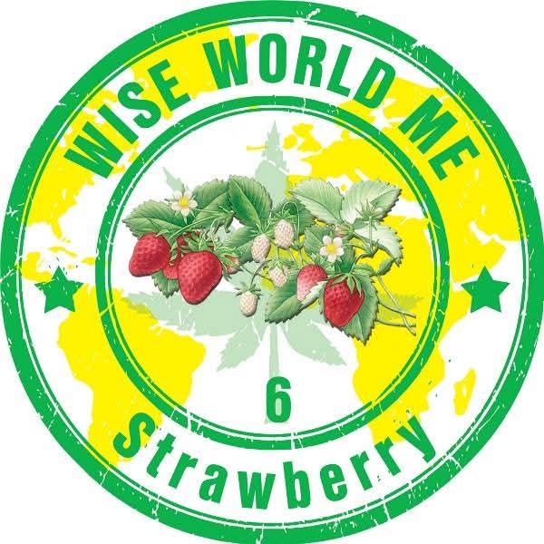 Wise World Strawberry — vrednost 6